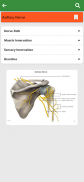 Orthopedic Anatomy screenshot 7