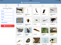 Freshwater Macroinvertebrates screenshot 1