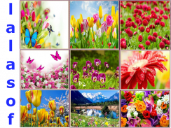 mùa xuân wallpaper screenshot 0