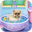 beautiful caring dog game