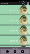 Seal Sounds screenshot 0