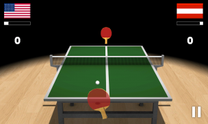 Virtual Table Tennis 3D screenshot 1
