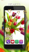 Springs Tulips Live Wallpaper screenshot 4