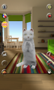 Falar Gato bonito screenshot 2