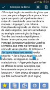 Dicionário de Português screenshot 3