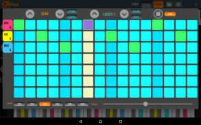 7 Pad : Scales and chords screenshot 12