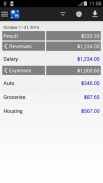 Expense & Revenue screenshot 2