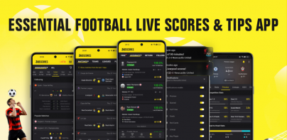 310Scores: Live Scores & Tips