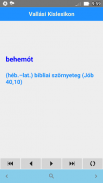 Vallási Kislexikon screenshot 4