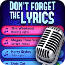 Don't Forget the Lyrics Icon