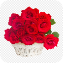 Red Rose HD Images 2019 Icon