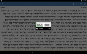 My Tanach (Hebrew Bible) screenshot 12