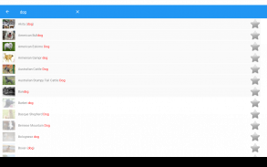 Dog breeds - Smart Identifier screenshot 9
