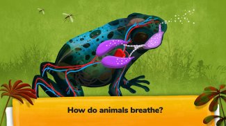 Como funcionam os animais? screenshot 9