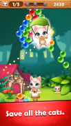 Bubble Cats Shooter POP : Puzzle Mania screenshot 4