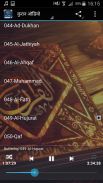 Quran Hindi Audio screenshot 0