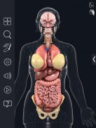 My Organs Anatomy screenshot 14