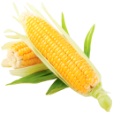 Corn Recipes