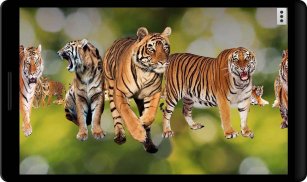 4D Tiger Live Wallpaper screenshot 6