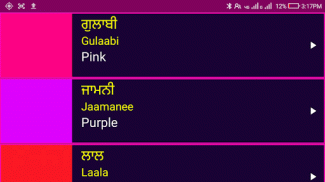 Learn Punjabi From English screenshot 8