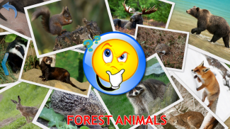 Animals for Kids - Flashcards screenshot 4