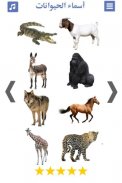 تعليم اصوات الحيوانات و صور و screenshot 0