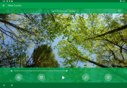 Relax Campo: sons para dormir screenshot 13