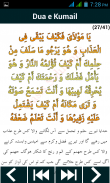Dua e Kumail (دُعَاۓ کُمَیل) screenshot 7