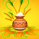 Pongal Kolam videos - Sankranthi Muggulu designs Icon