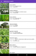 Medicinal plants: herbs screenshot 1