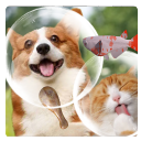 Pet Bubble - Baixar APK para Android | Aptoide