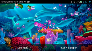 Dolphin Live Wallpaper screenshot 10