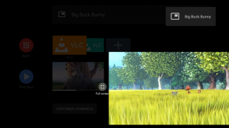 VLC for Android screenshot 28