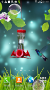 Hummingbirds wallpaper screenshot 3