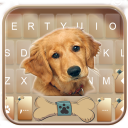 Tema Keyboard Gold Naive Puppy