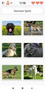 Hondenrassen-Quiz over honden! screenshot 7