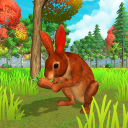 forest rabbit animal simulator pet games Icon