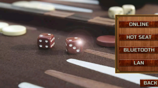 Backgammon Games +18 screenshot 5