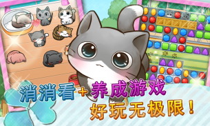 终极治愈系猫咪养成益智游戏—catlife screenshot 8