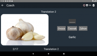 Czech Language Tests screenshot 2