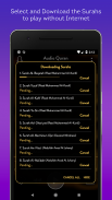 Audio Quran Mp3 Offline/Online screenshot 4