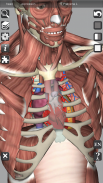 3D Bones and Organs (Anatomy) screenshot 3