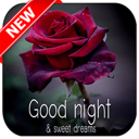 Good Night Pictures 2019