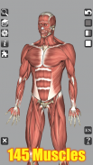 3D Anatomy Lite screenshot 14