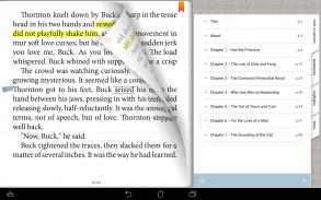 Bookari Epub PDF Ebook Leitor screenshot 5