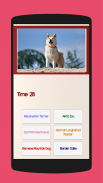 Quiz of dogs puppies breeds screenshot 4