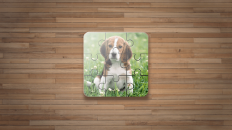 Dog Puzzle Games screenshot 8