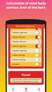 Burns Fluid Calculator screenshot 5