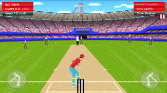 Cricket Classic Game screenshot 6