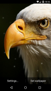 Eagle Live Wallpaper HD screenshot 6